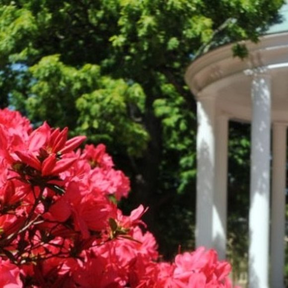 Meet your Posher, Gibson - Picture 1 of 1